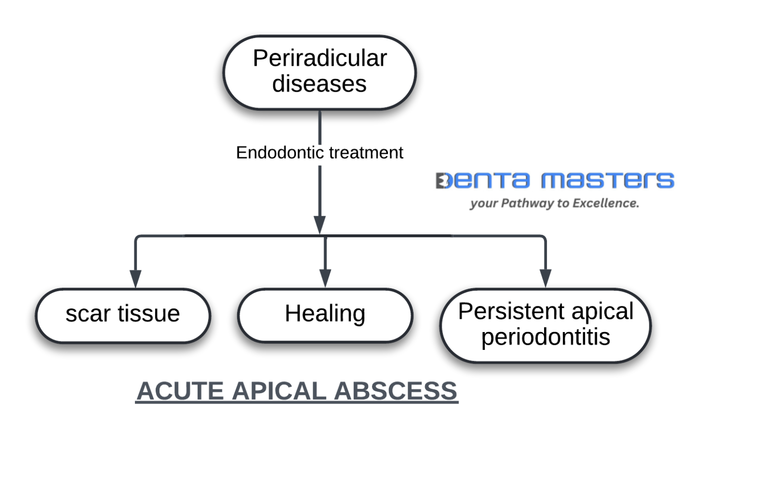 The Hidden Dangers Of Alveolar Abscess: What You Need To Know