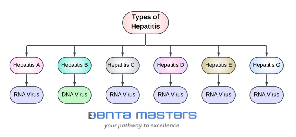 classification of hepatitis