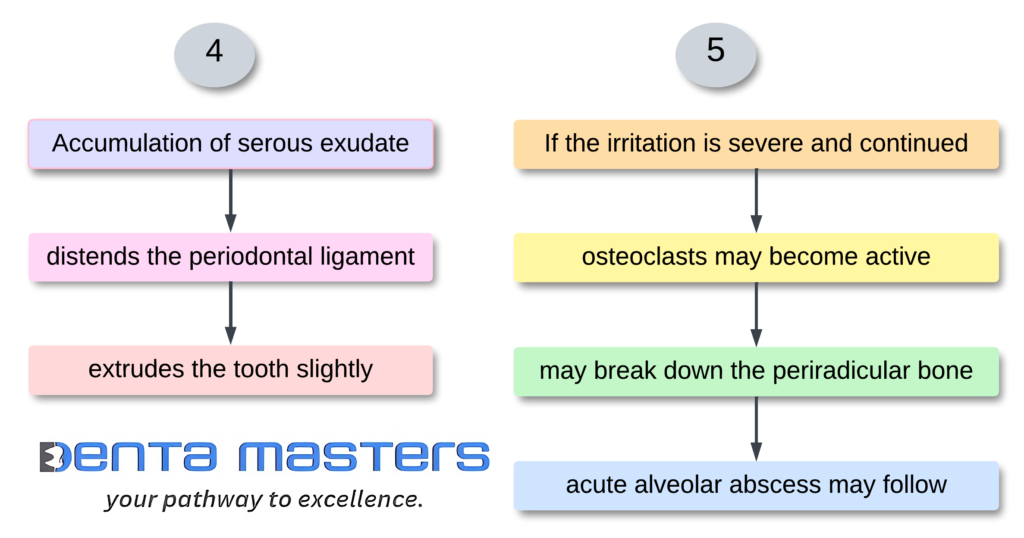 apical periodontitis