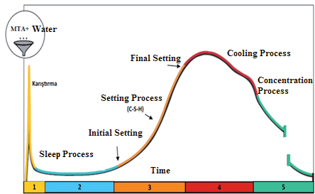 Hydration-reaction-is-divided-into-different-steps-including-mixing-process-sleep