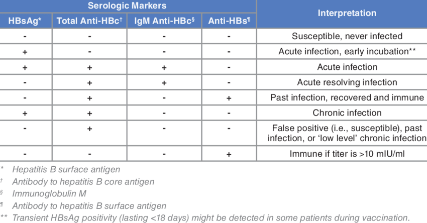 serology of hepatitis