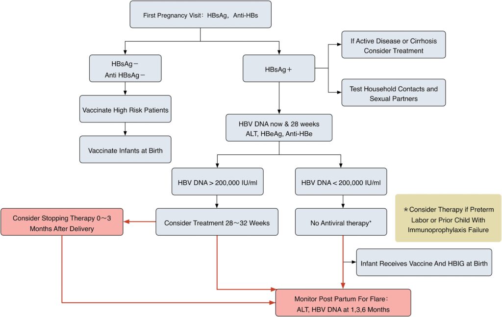 Management in pregnant women