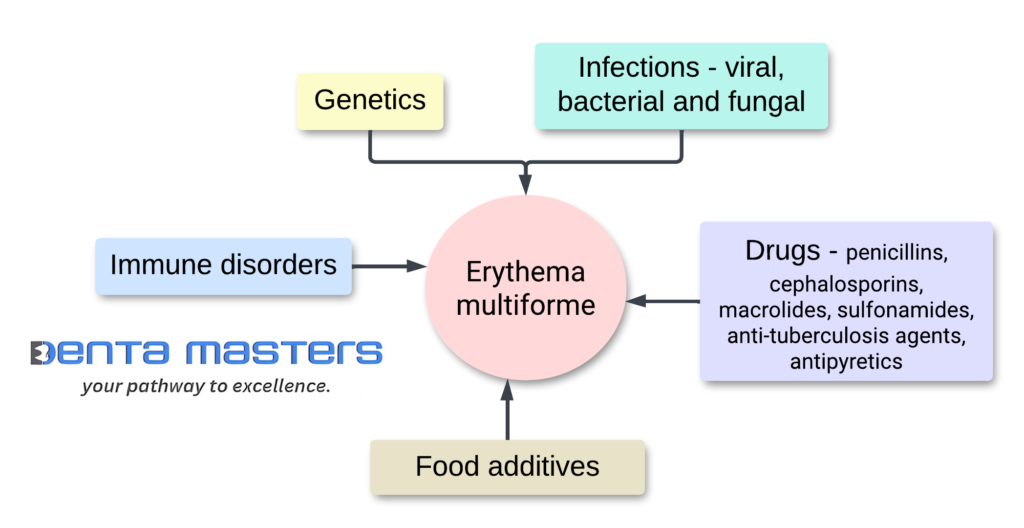 erythema multiforme aetiology