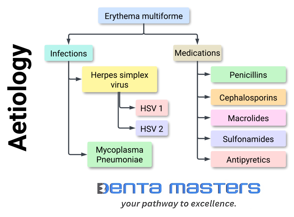 ERYTHEMA MULTIFORME ETIOLOGY